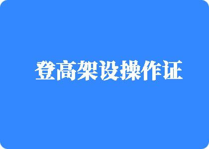 操大逼逼中文字幕黄登高架设操作证